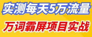 百度万词霸屏实操项目引流课,30天霸屏10万关键词网赚项目-副业赚钱-互联网创业-资源整合马里奥网创