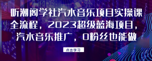听潮阁学社汽水音乐项目实操课全流程,2023超级蓝海项目,汽水音乐推广,0粉丝也能做!网赚项目-副业赚钱-互联网创业-资源整合马里奥网创